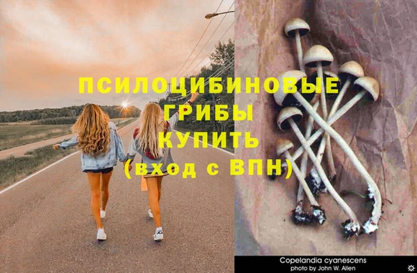 а пвп мука Баксан