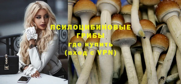 мдпв Арсеньев