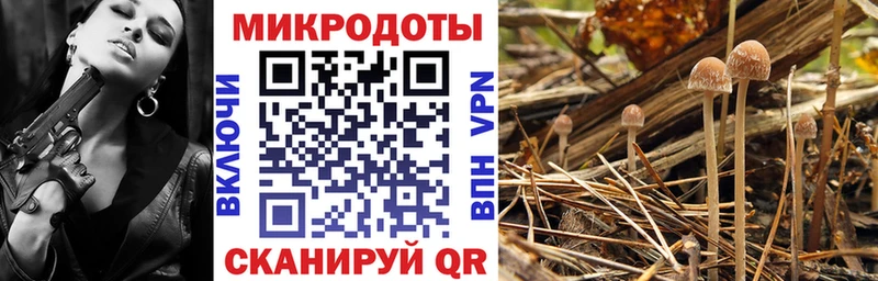Галлюциногенные грибы MAGIC MUSHROOMS  Павловская 
